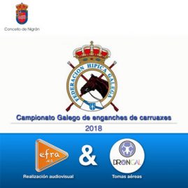Campionato Galego de Enganche de Carruaxes 2018 Nigran Pontevedra